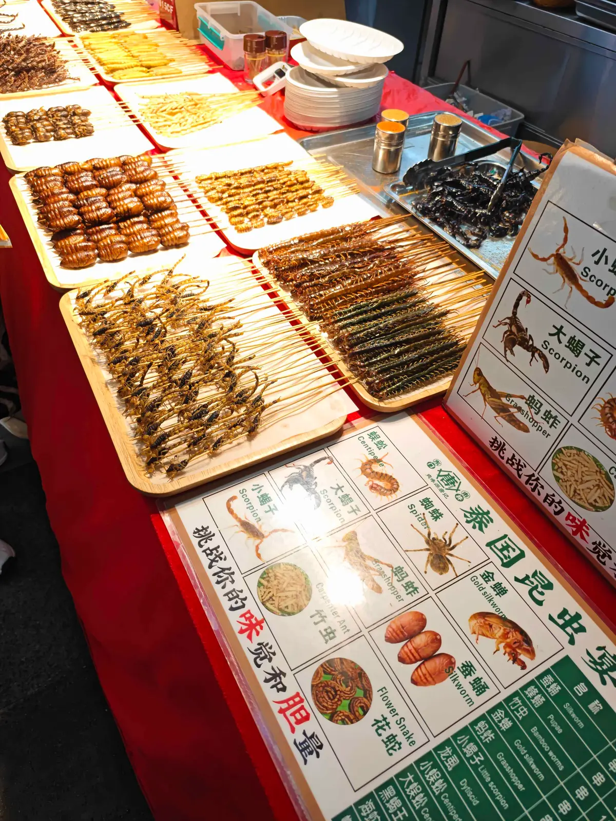 A Shenzhen night market stall laid with trays of skewered insects